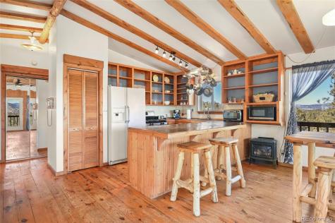 66 Shawnee Place Florissant CO 80816