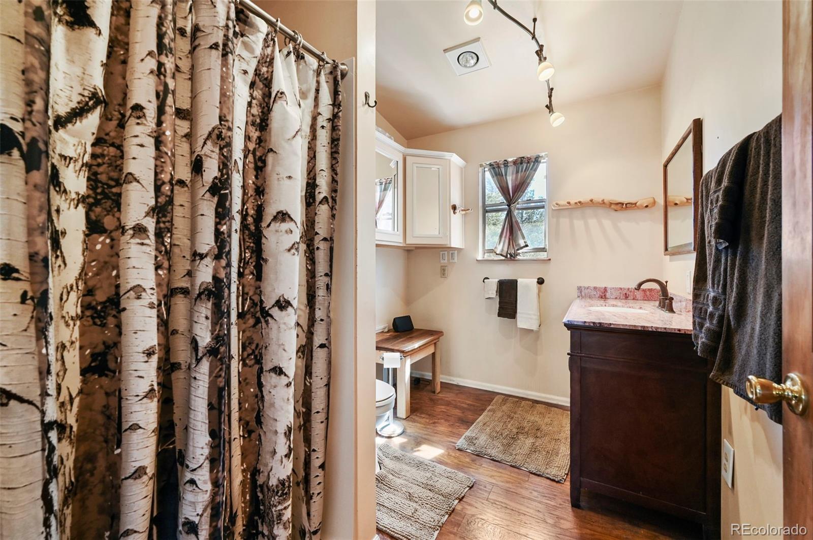 66 Shawnee Place Florissant CO 80816