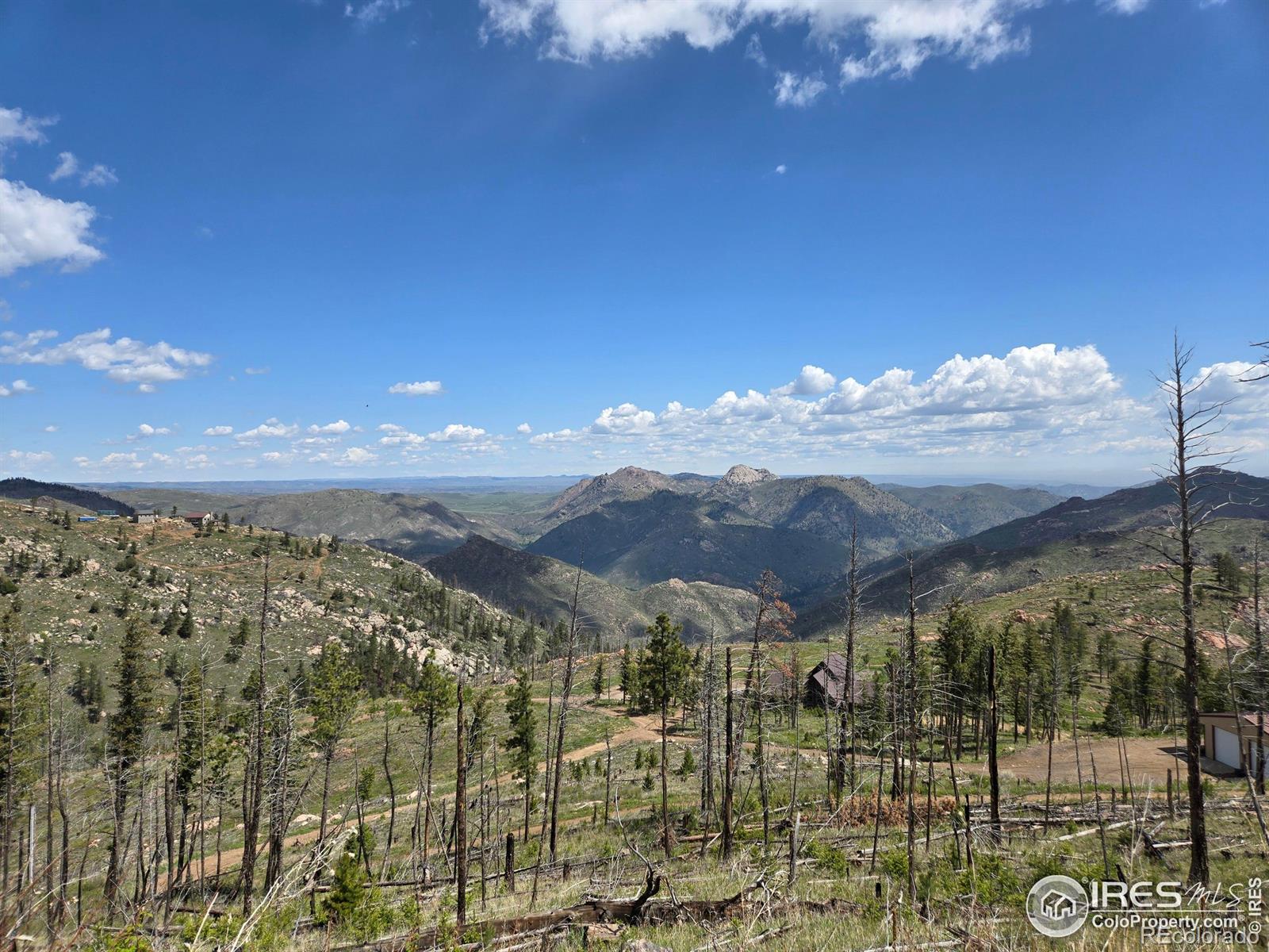 821 Woodlot Lane Bellvue CO 80512