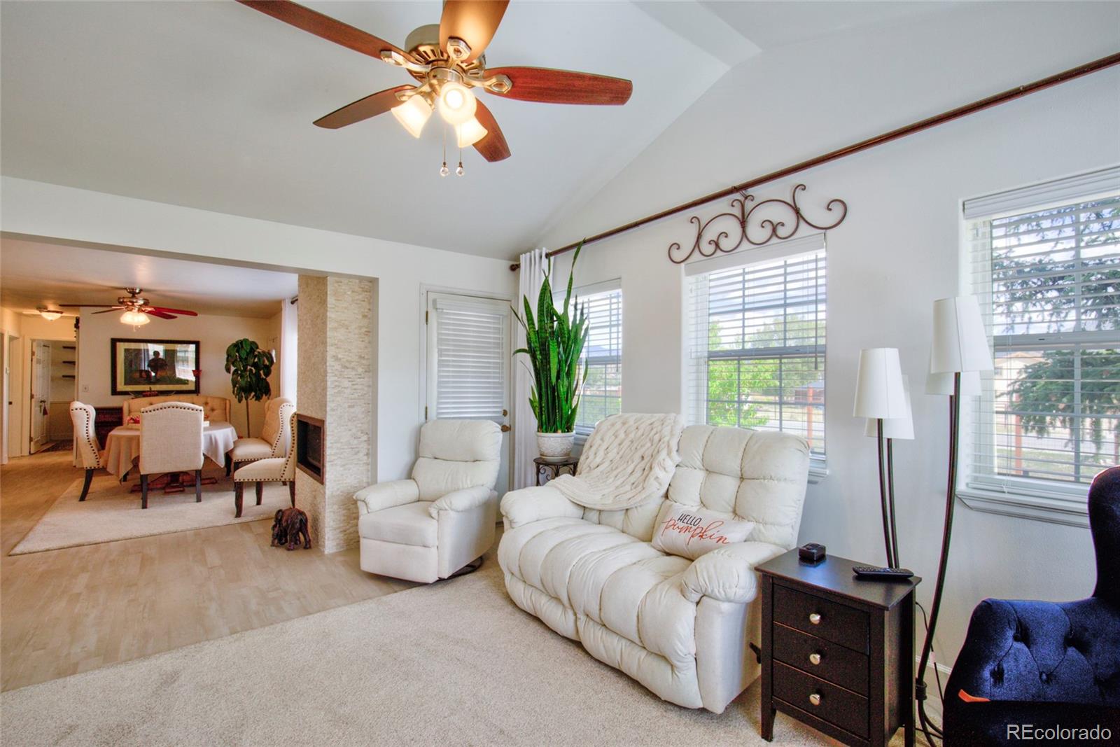 29845 County Road 353 Buena Vista CO 81211
