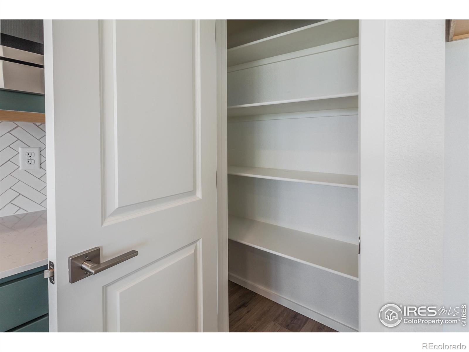 5409 Drehle Street Timnath CO 80547