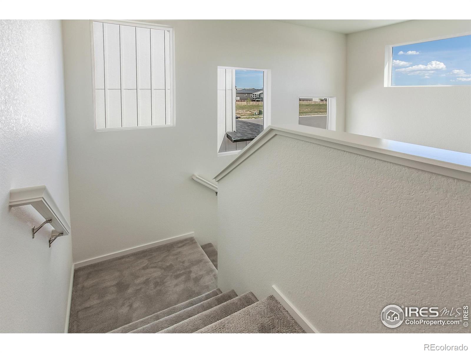 5409 Drehle Street Timnath CO 80547