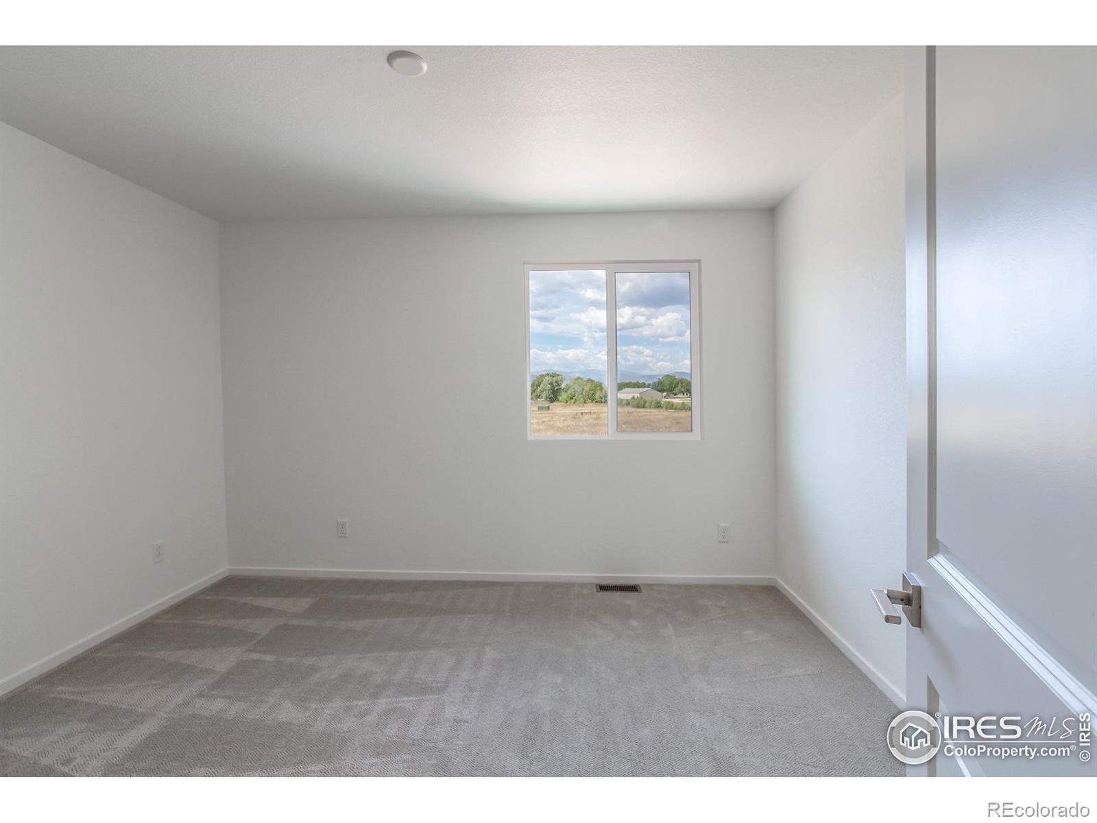 5409 Drehle Street Timnath CO 80547