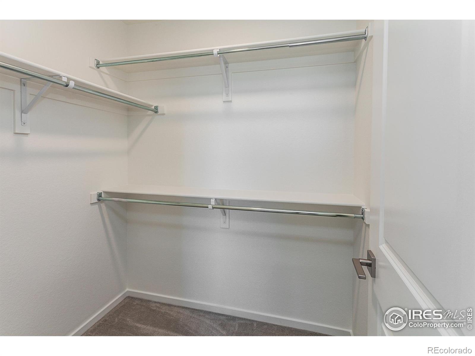 5409 Drehle Street Timnath CO 80547