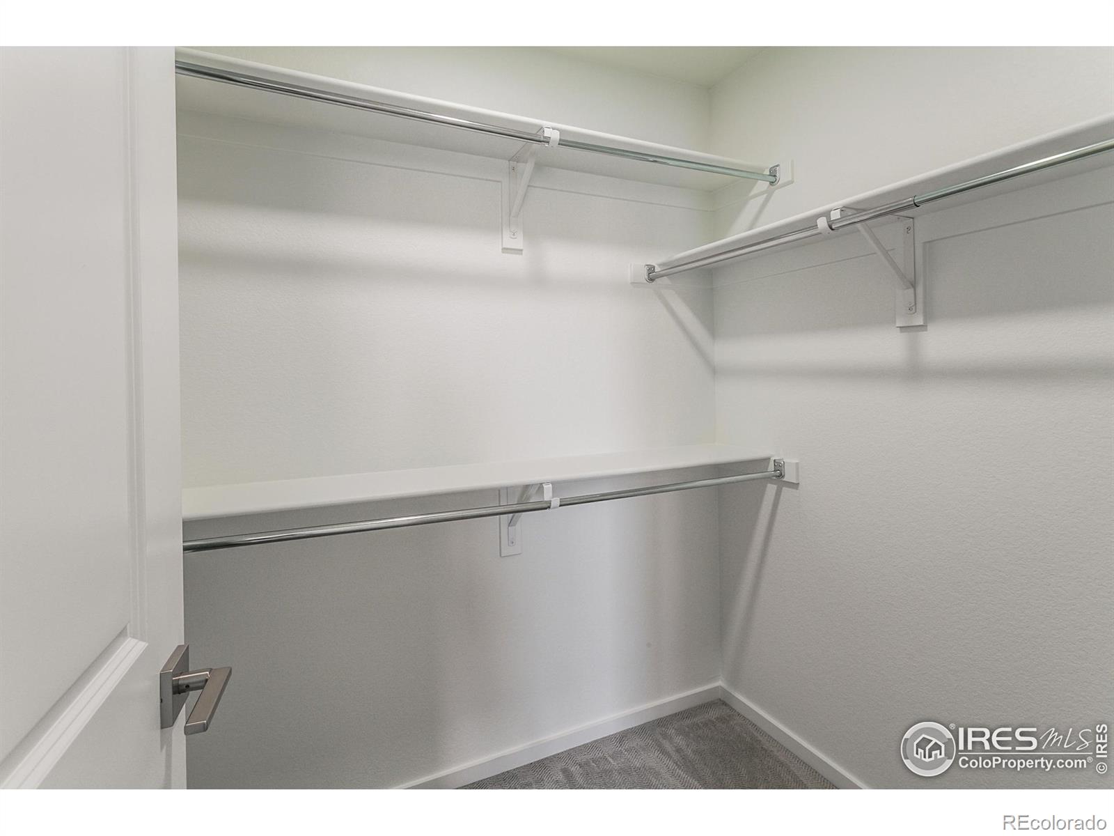 5409 Drehle Street Timnath CO 80547