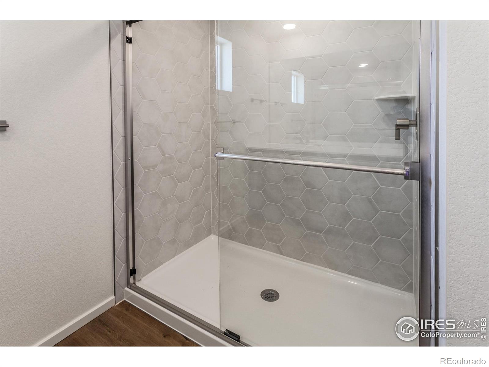 5409 Drehle Street Timnath CO 80547
