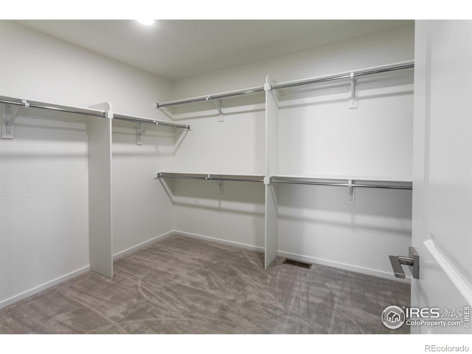 5409 Drehle Street Timnath CO 80547