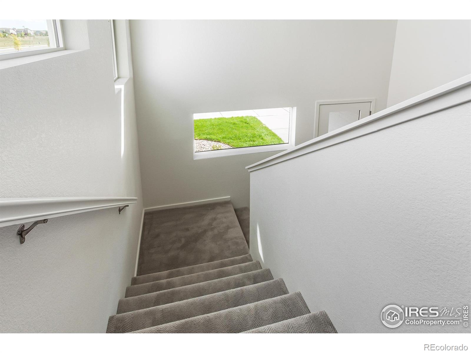 5409 Drehle Street Timnath CO 80547