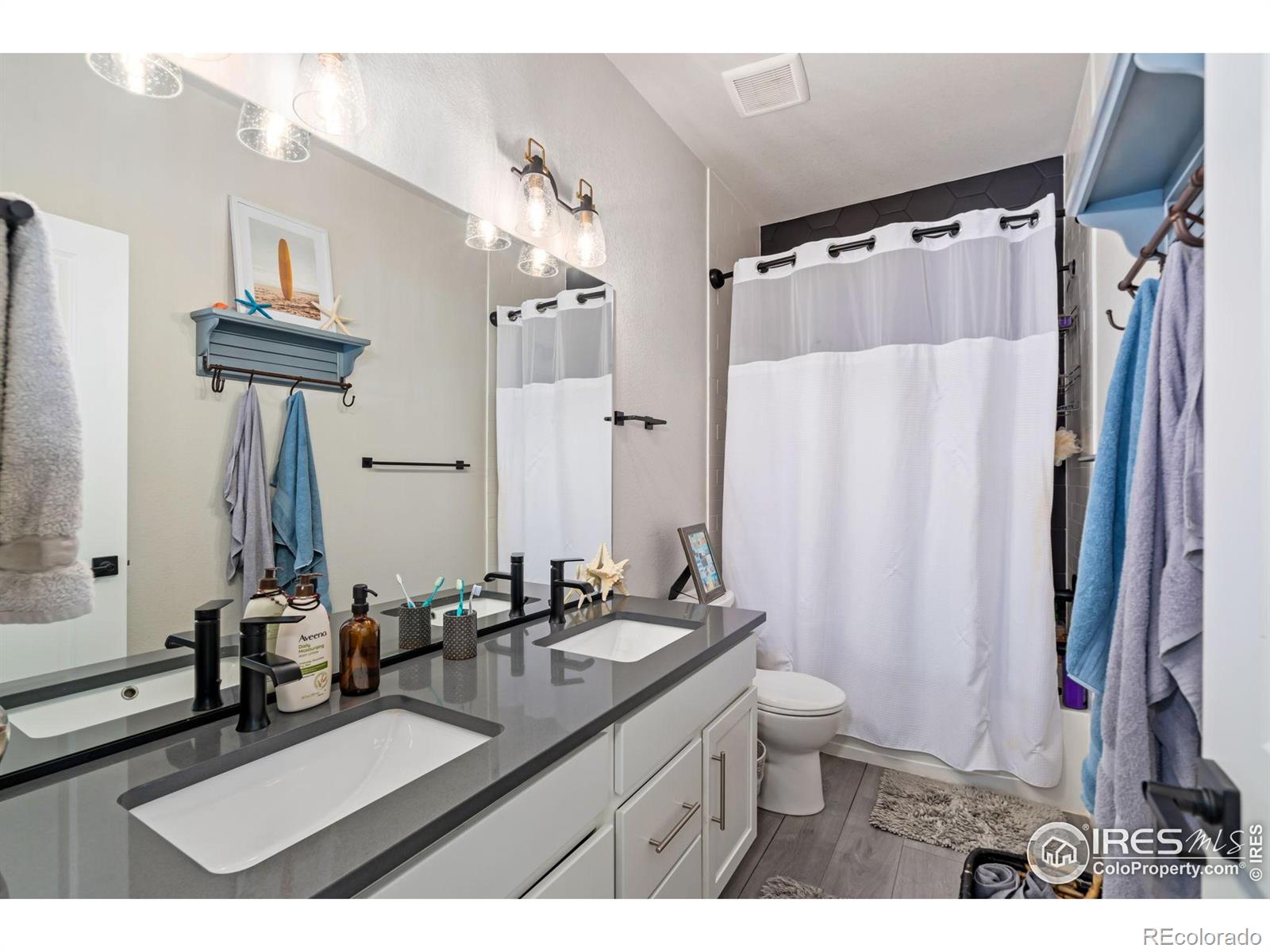 336 Bluestar Drive Windsor CO 80550