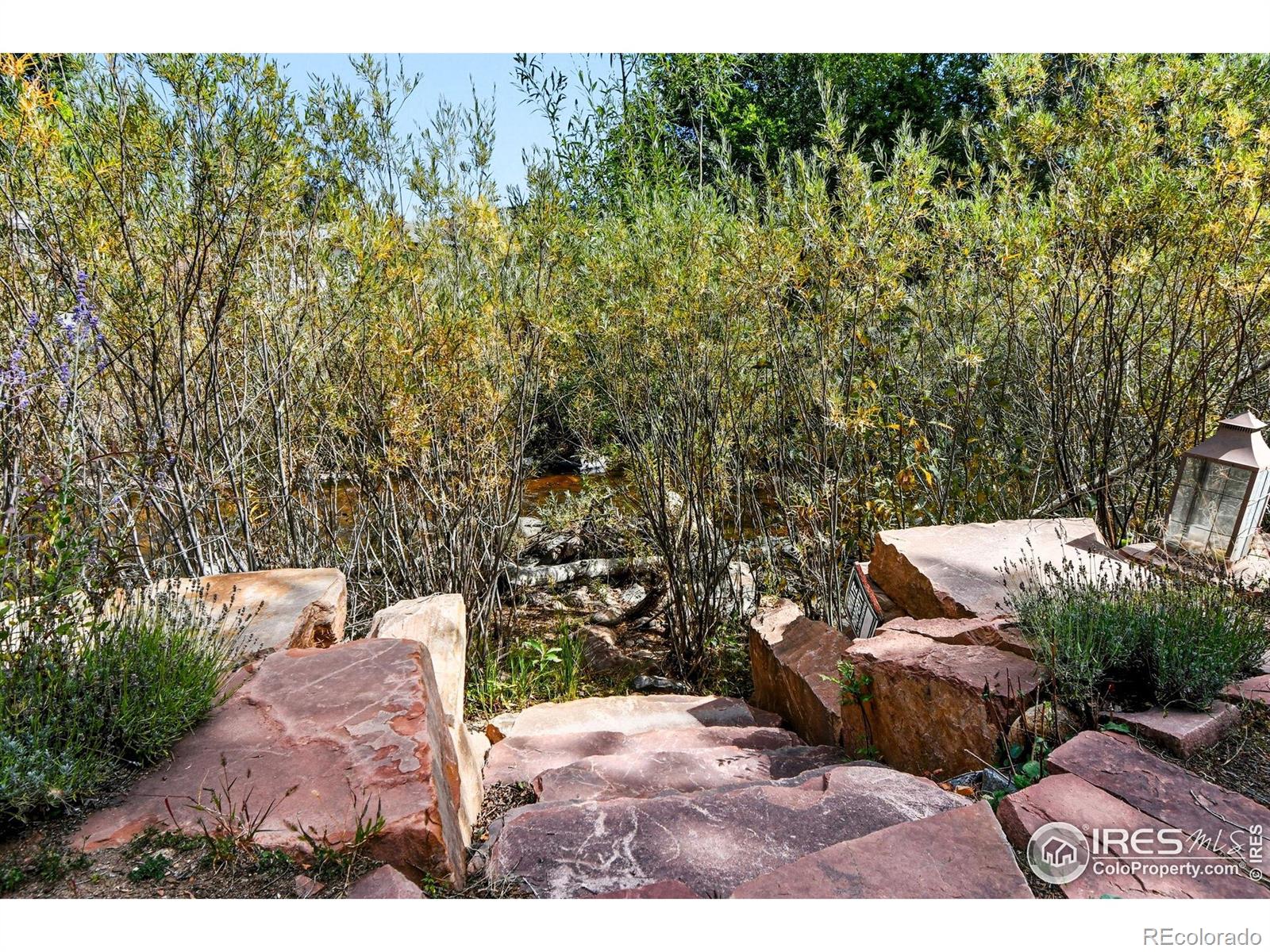 342 4th Avenue Lyons CO 80540