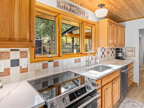 11982 Peak To Peak Drive Allenspark CO 80510