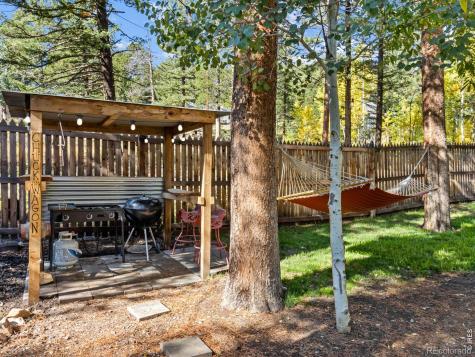 11982 Peak To Peak Drive Allenspark CO 80510