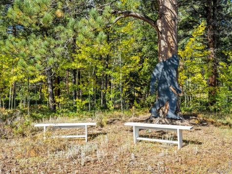 11982 Peak To Peak Drive Allenspark CO 80510