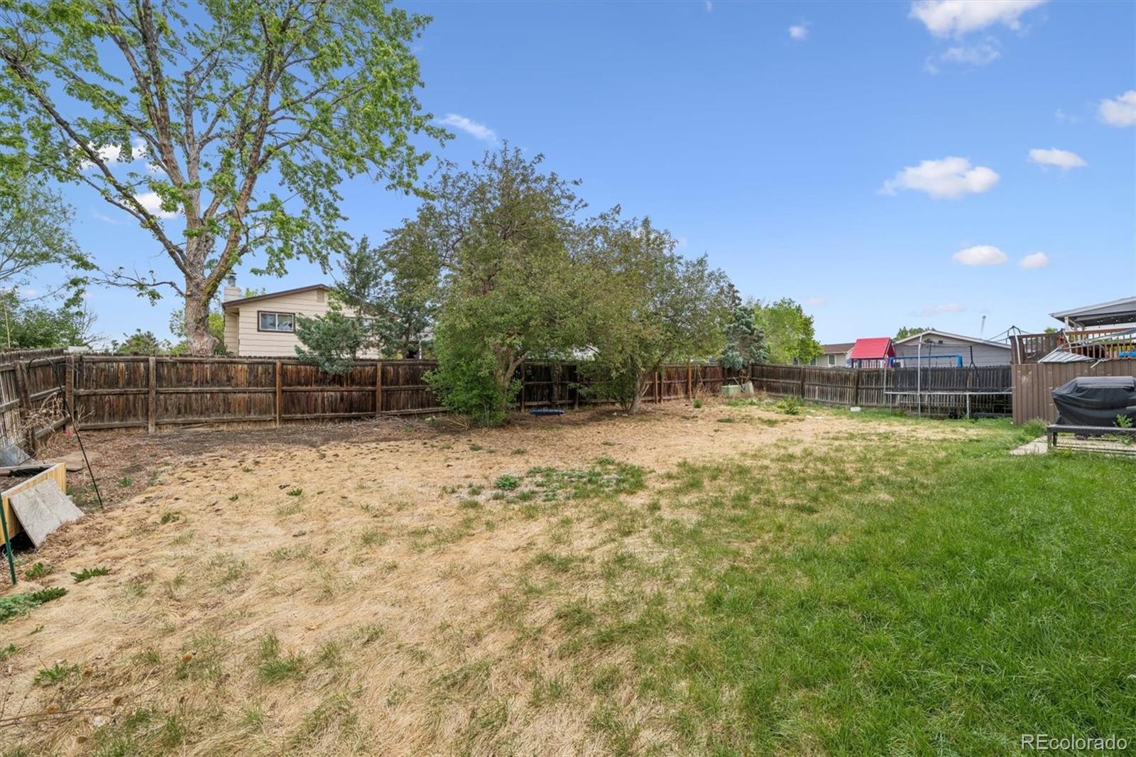 3143 E 96th Place Thornton CO 80229