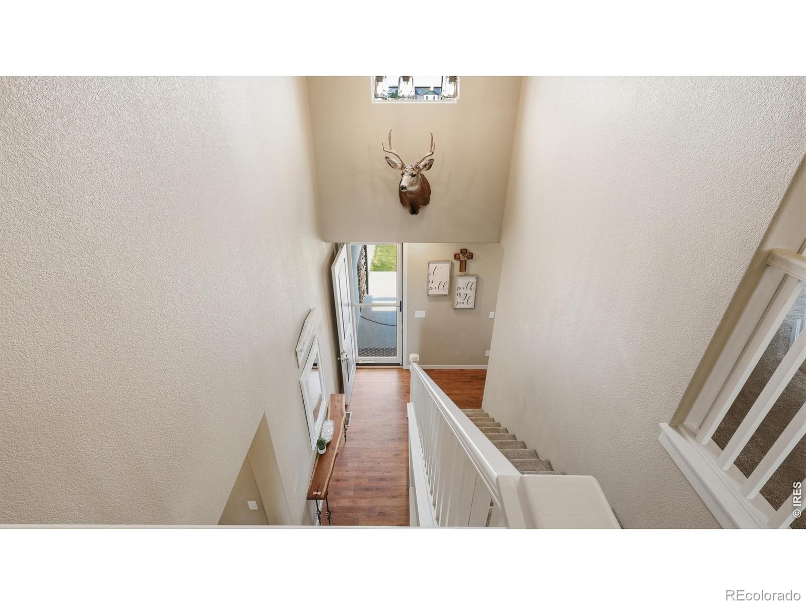 40690 Leif Lane Ault CO 80610