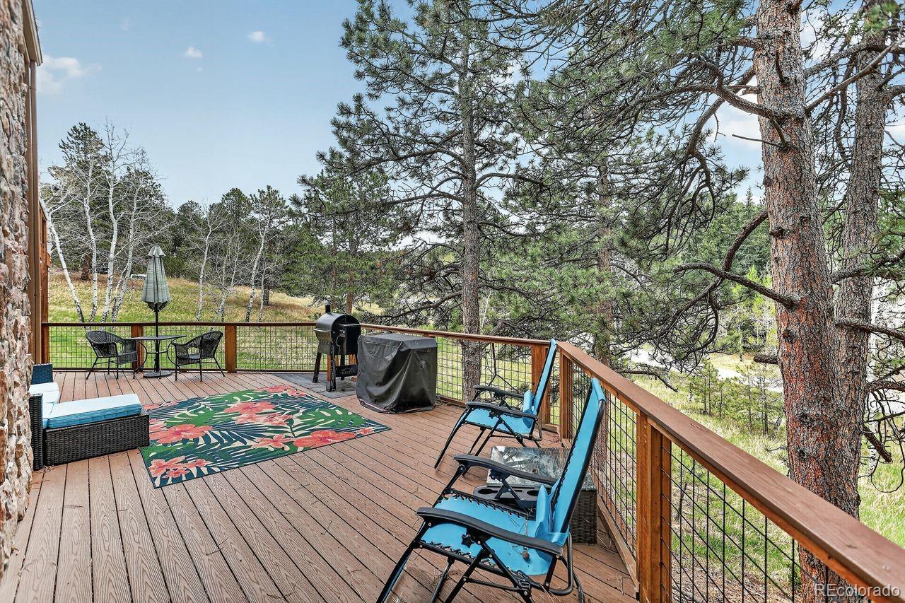 9053 Gray Fox Drive Evergreen CO 80439