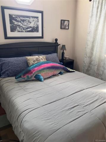 10795 County Road 197a Nathrop CO 81236