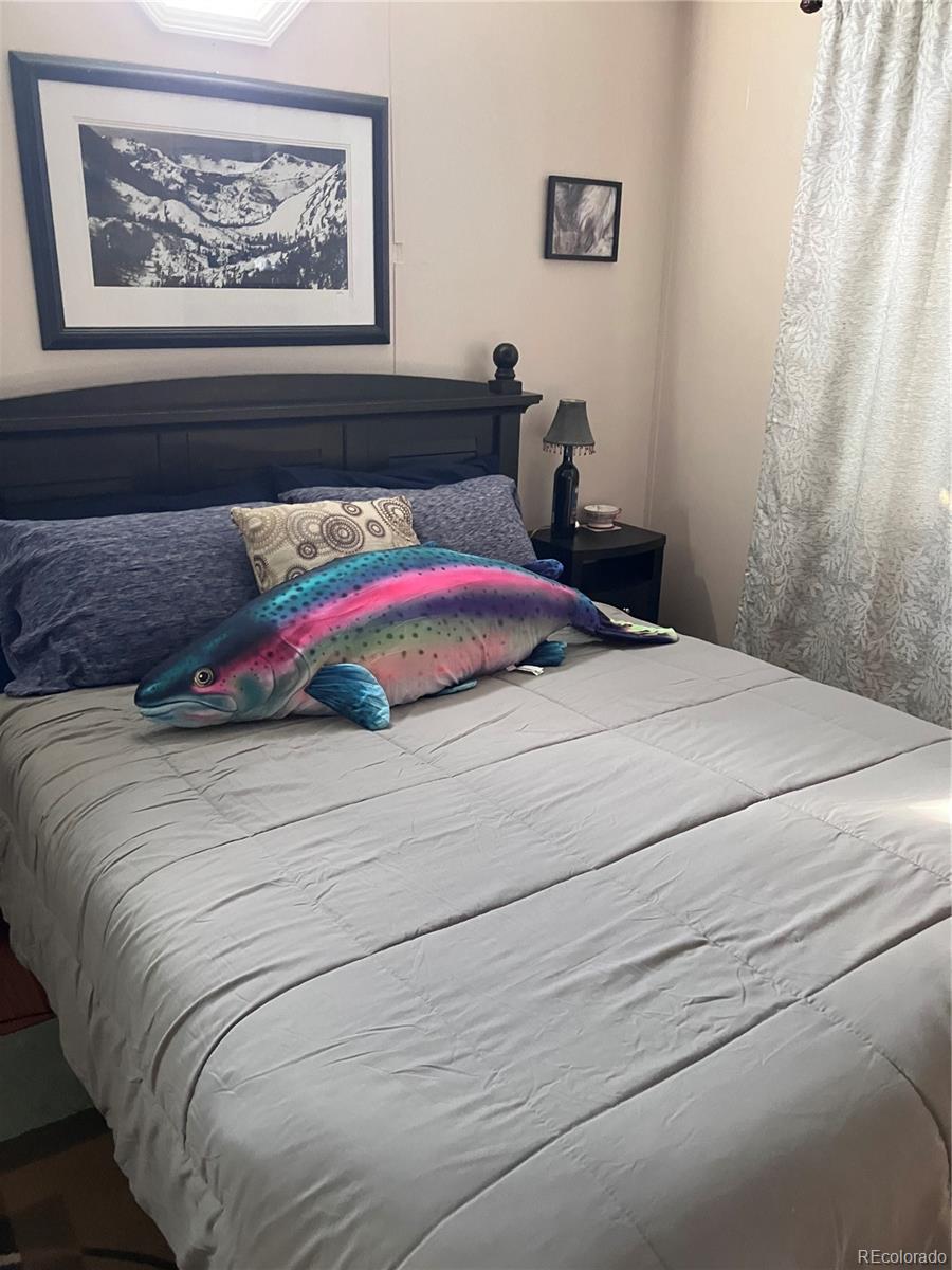 10795 County Road 197a Nathrop CO 81236