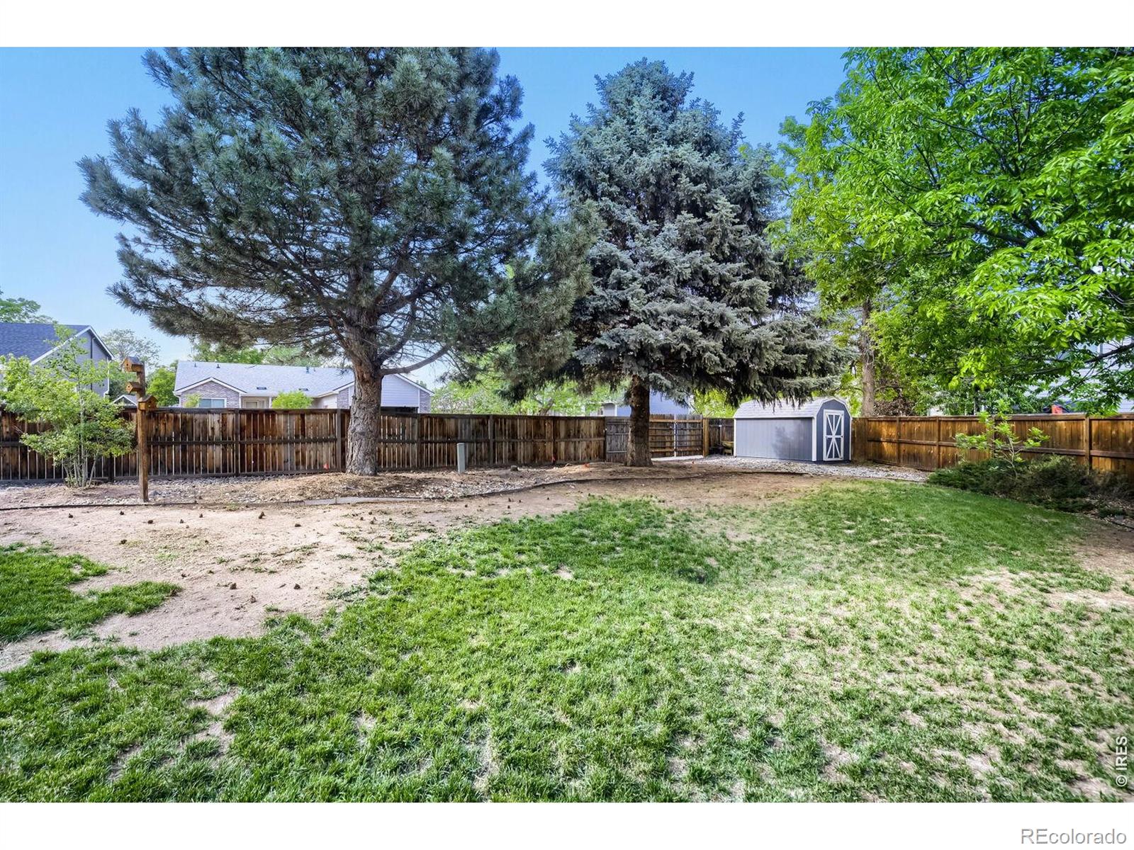 1701 Rutledge Court Fort Collins CO 80526