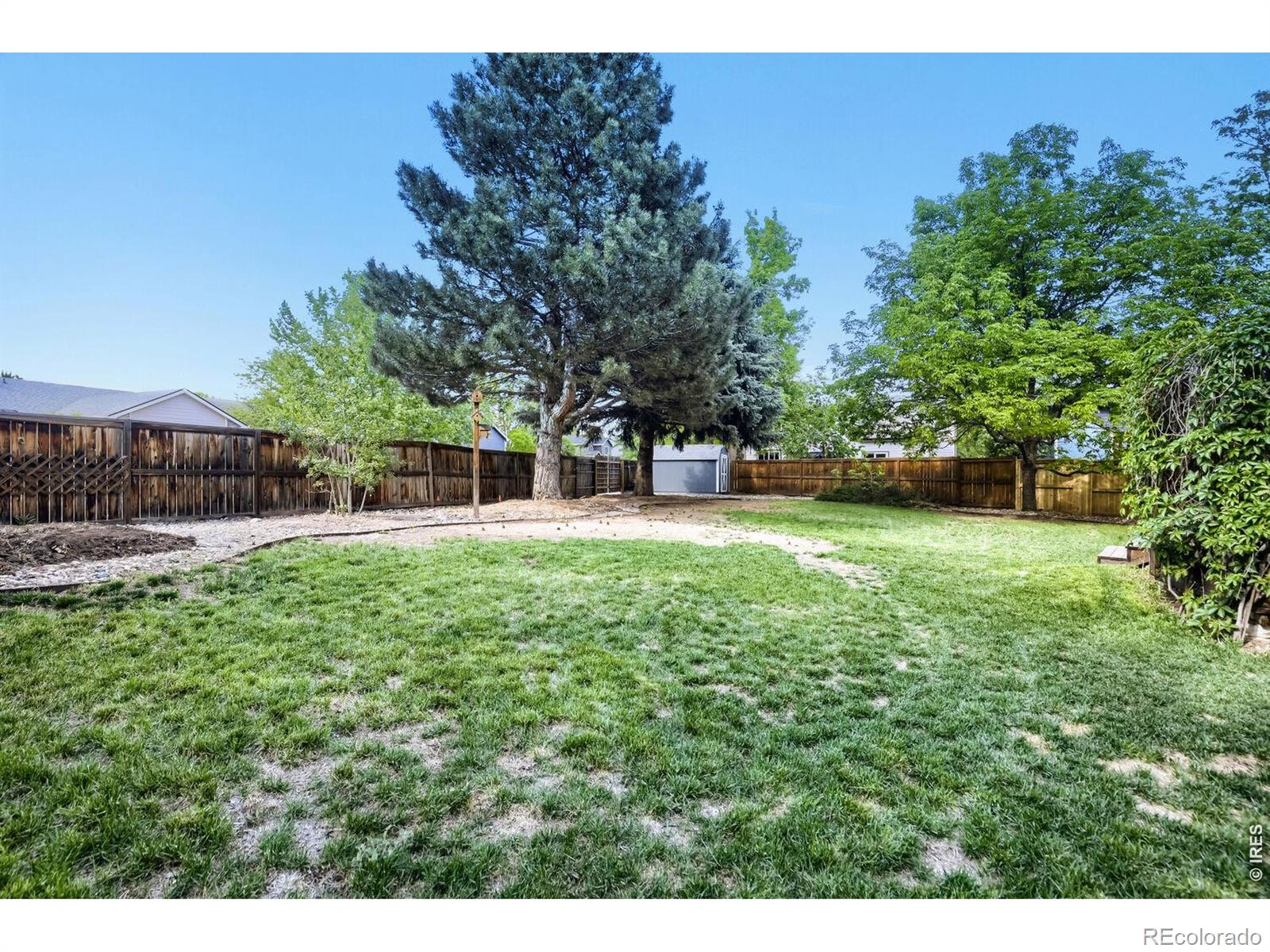 1701 Rutledge Court Fort Collins CO 80526