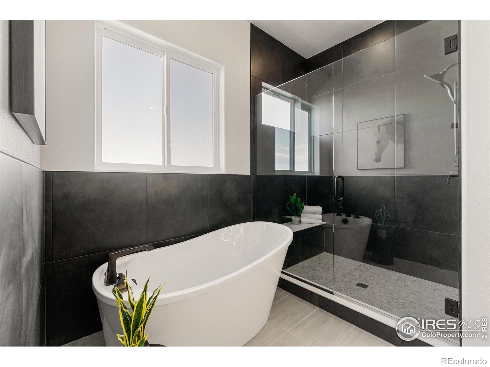 2045 Morningstar Way Fort Collins CO 80524