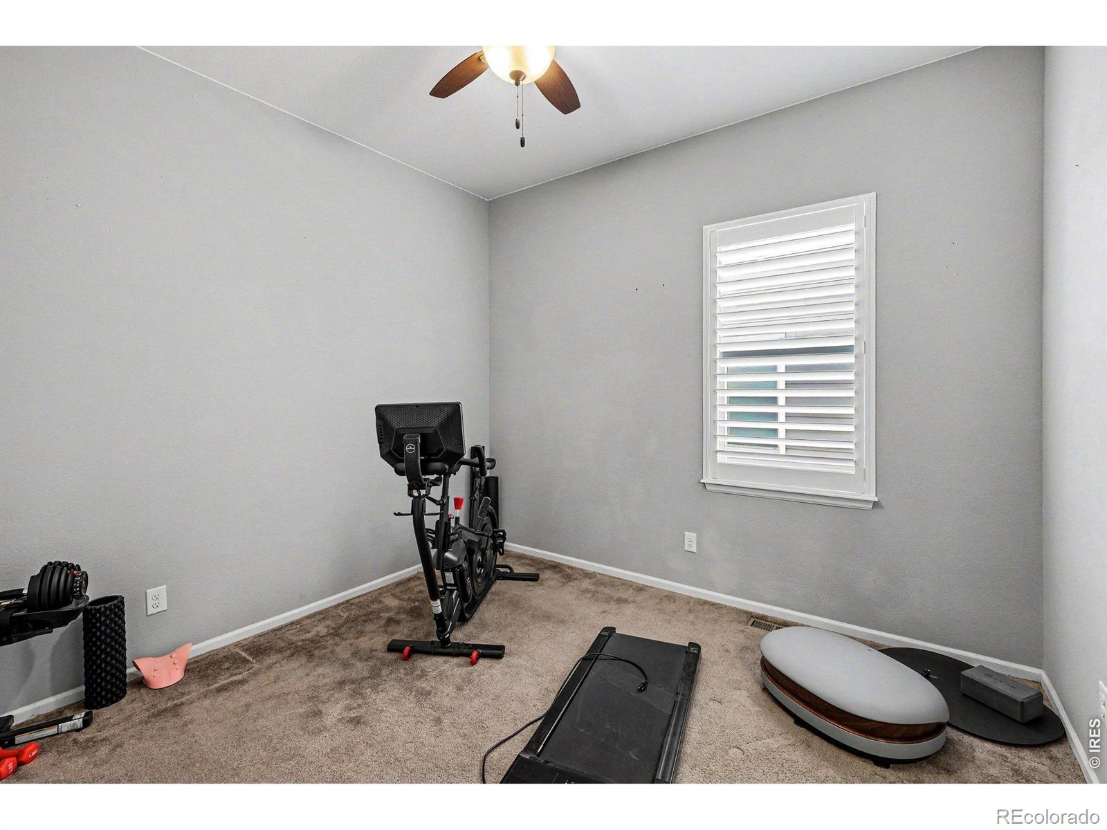 5481 Lulu City Drive Timnath CO 80547