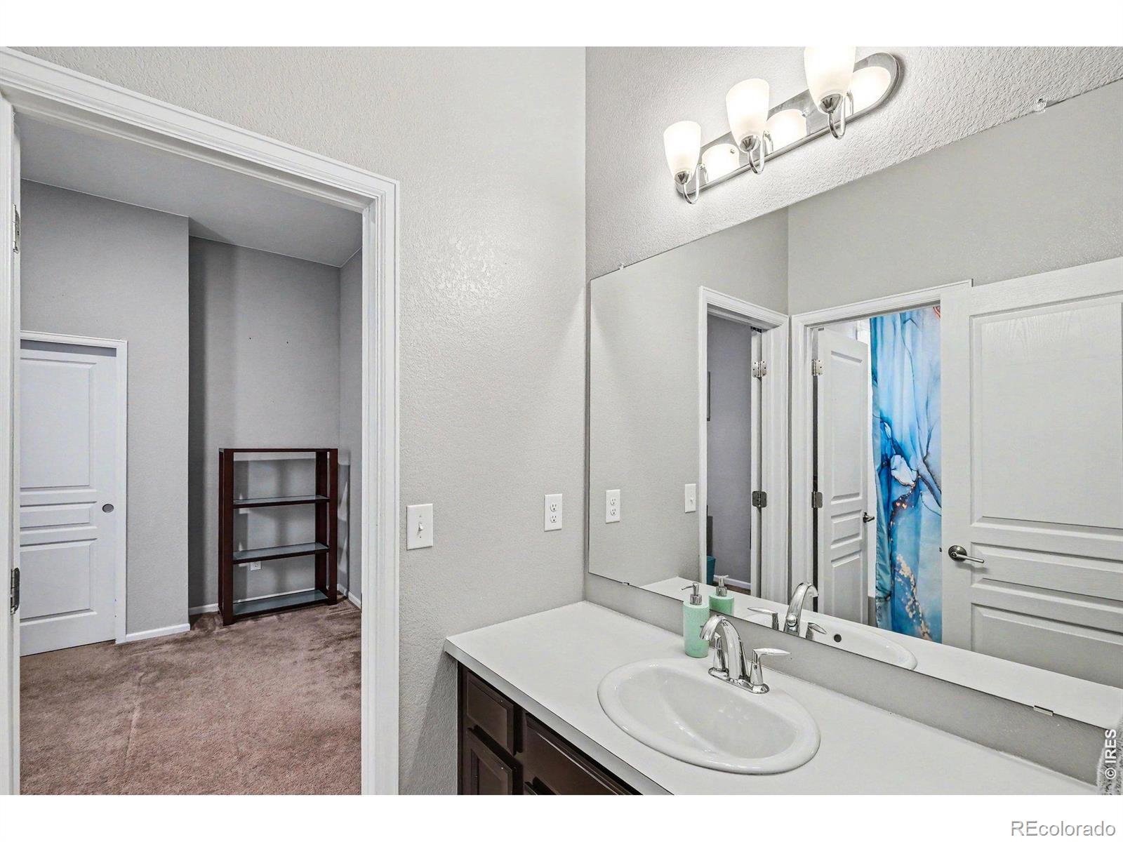 5481 Lulu City Drive Timnath CO 80547