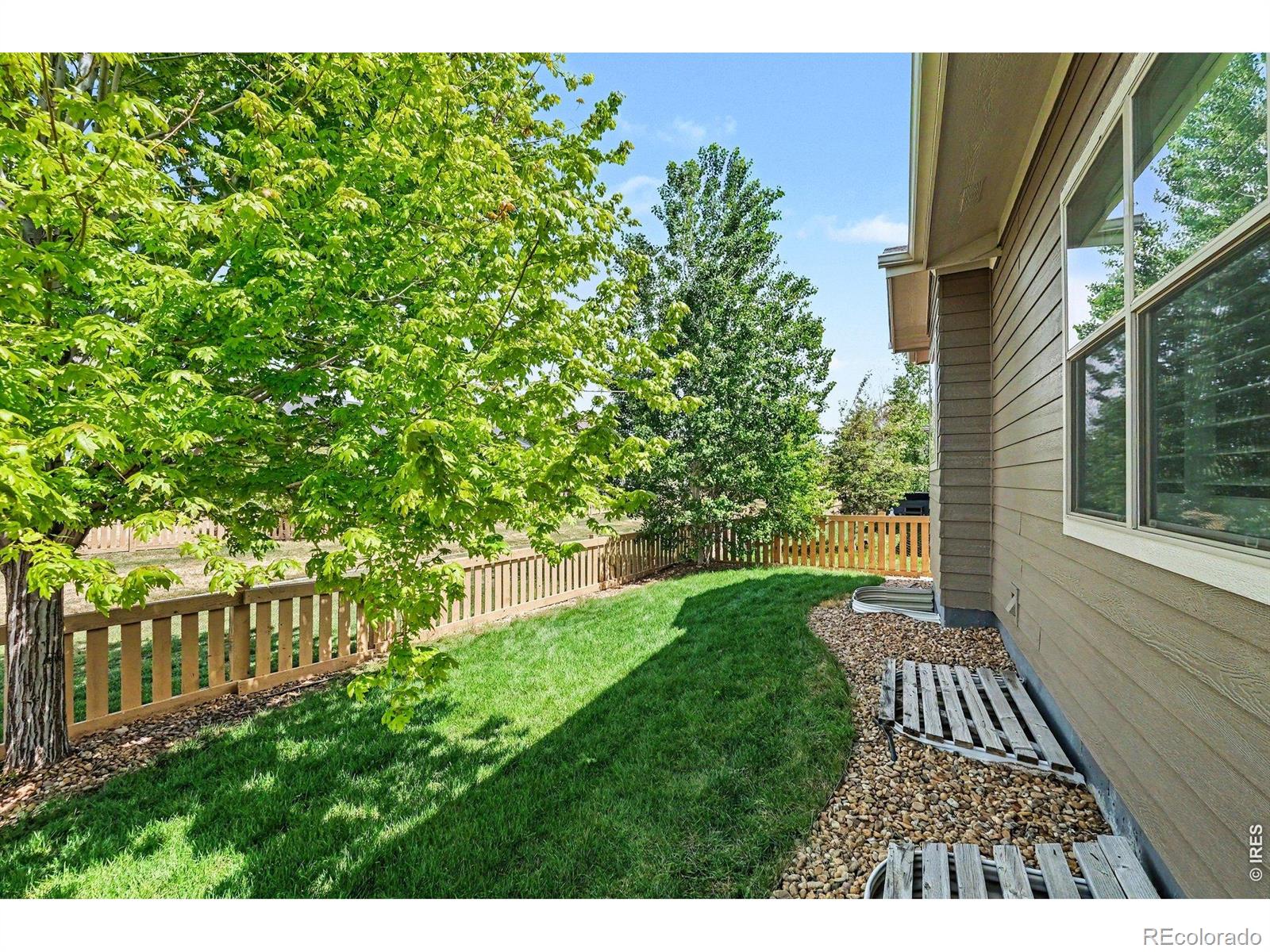 5481 Lulu City Drive Timnath CO 80547