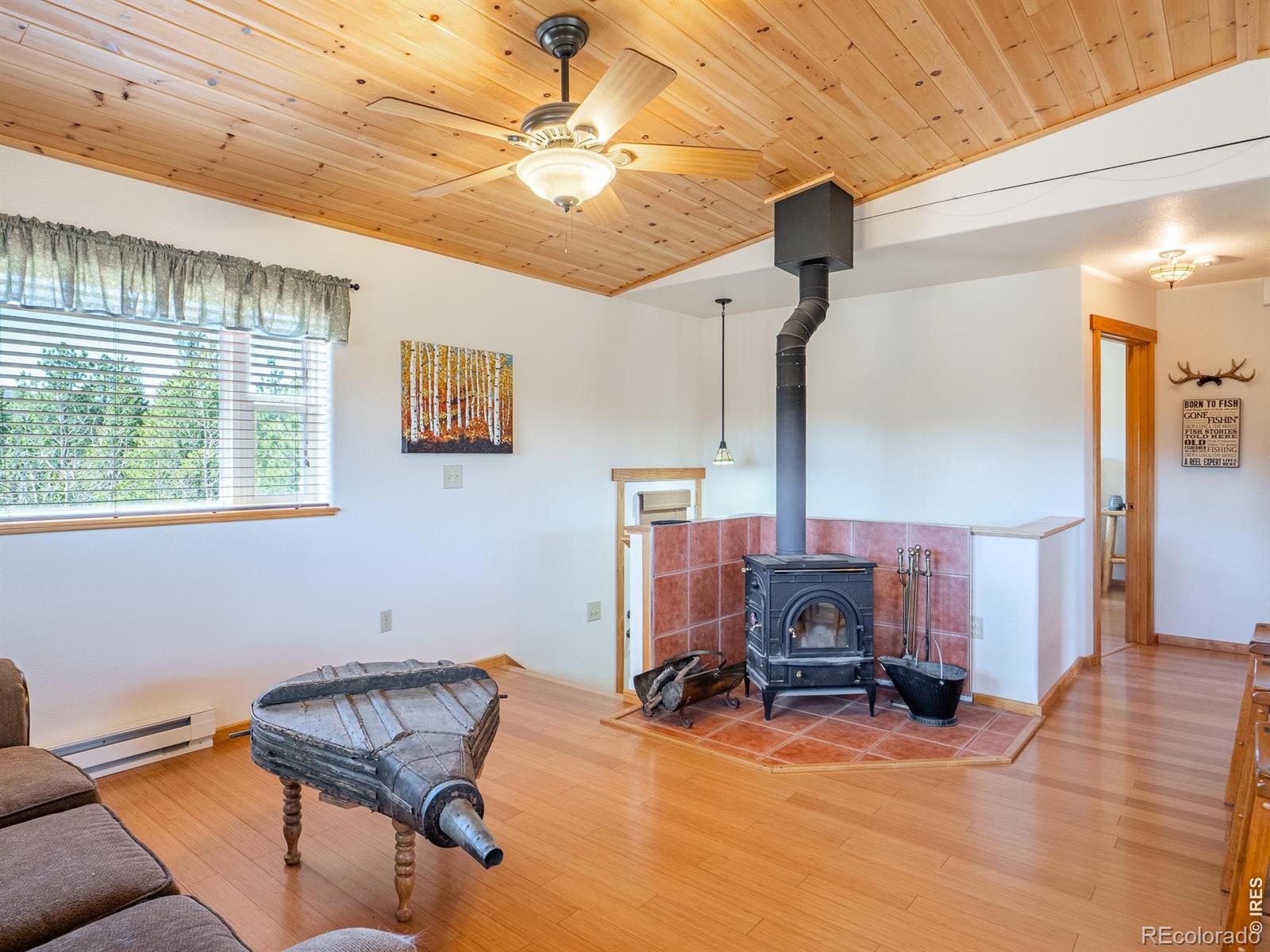251 Huron Road Red Feather Lakes CO 80545