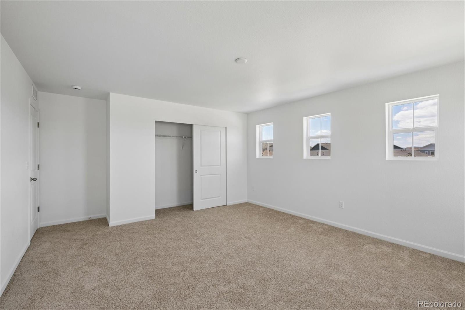 6413 Ankina Drive Windsor CO 80528