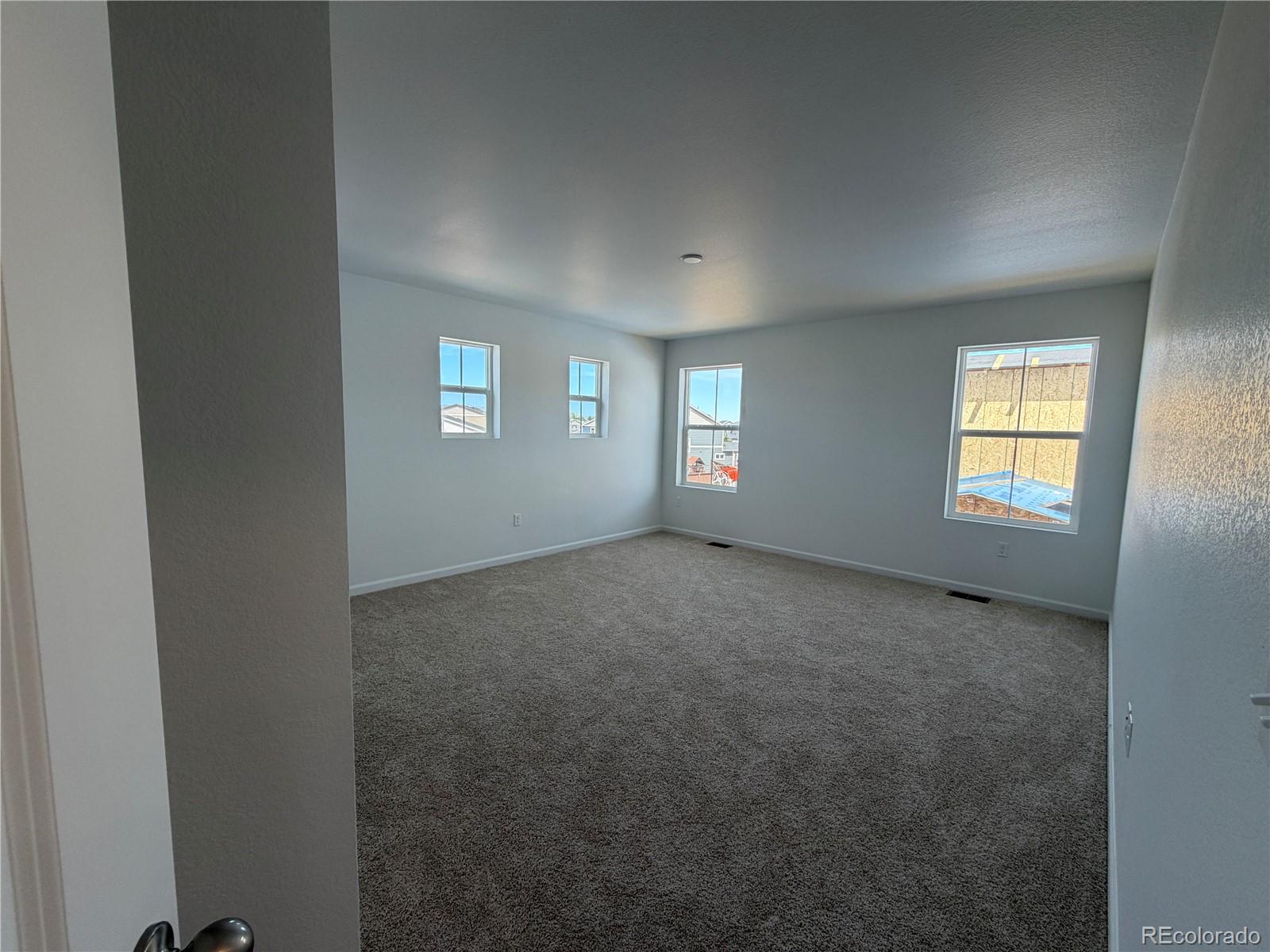 6413 Ankina Drive Windsor CO 80528