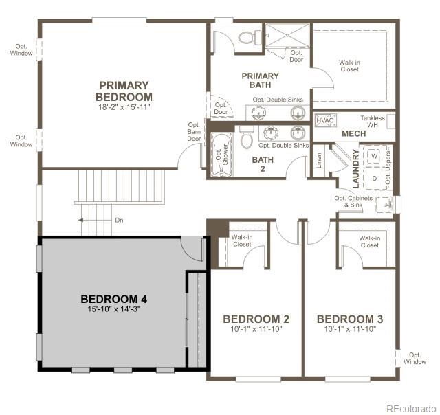 6413 Ankina Drive Windsor CO 80528