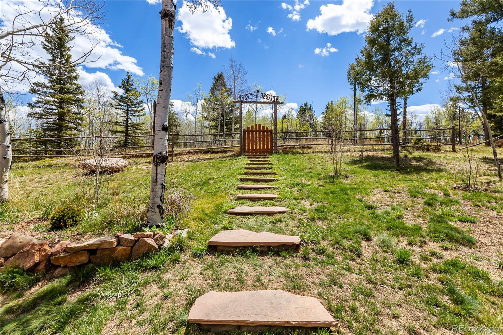 153 Moss Rock Court Divide CO 80814