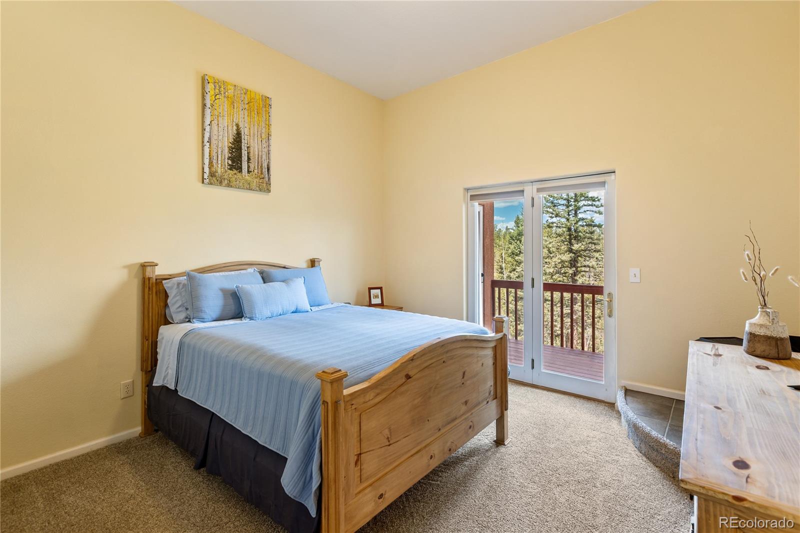 153 Moss Rock Court Divide CO 80814