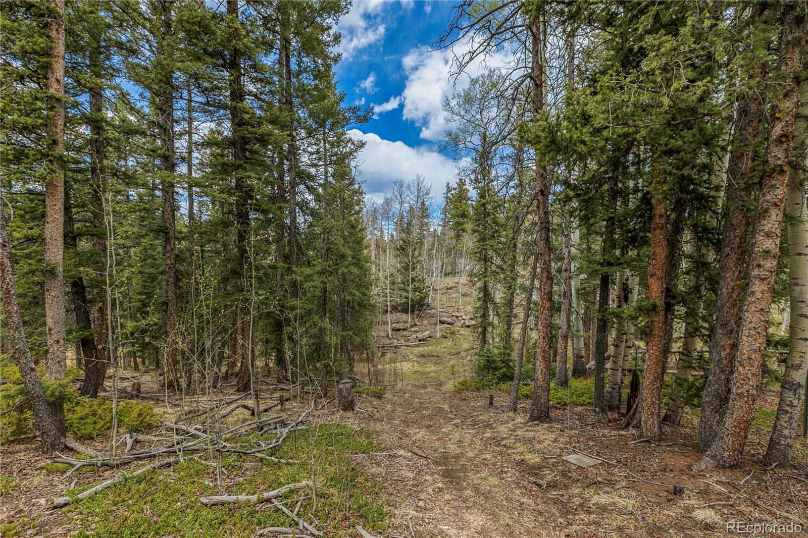 153 Moss Rock Court Divide CO 80814