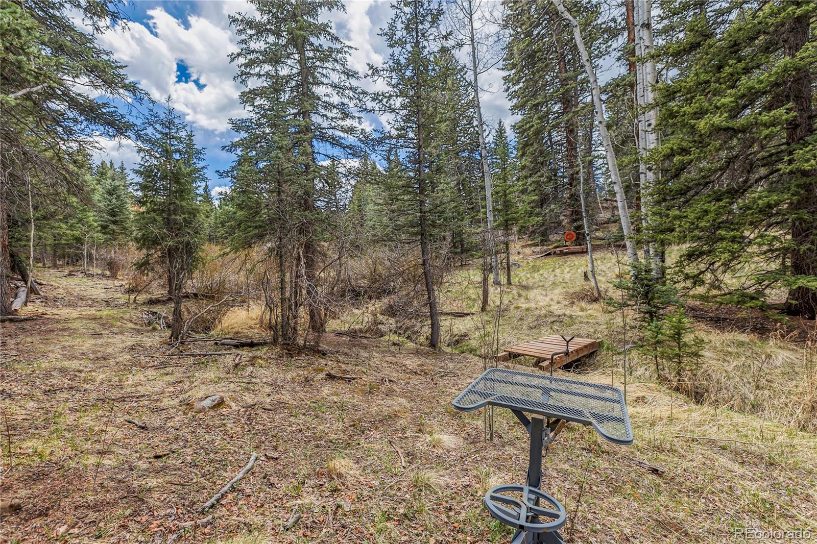153 Moss Rock Court Divide CO 80814