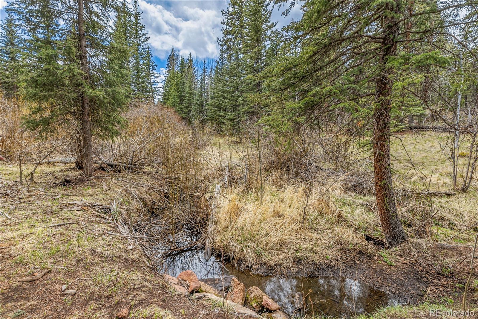 153 Moss Rock Court Divide CO 80814