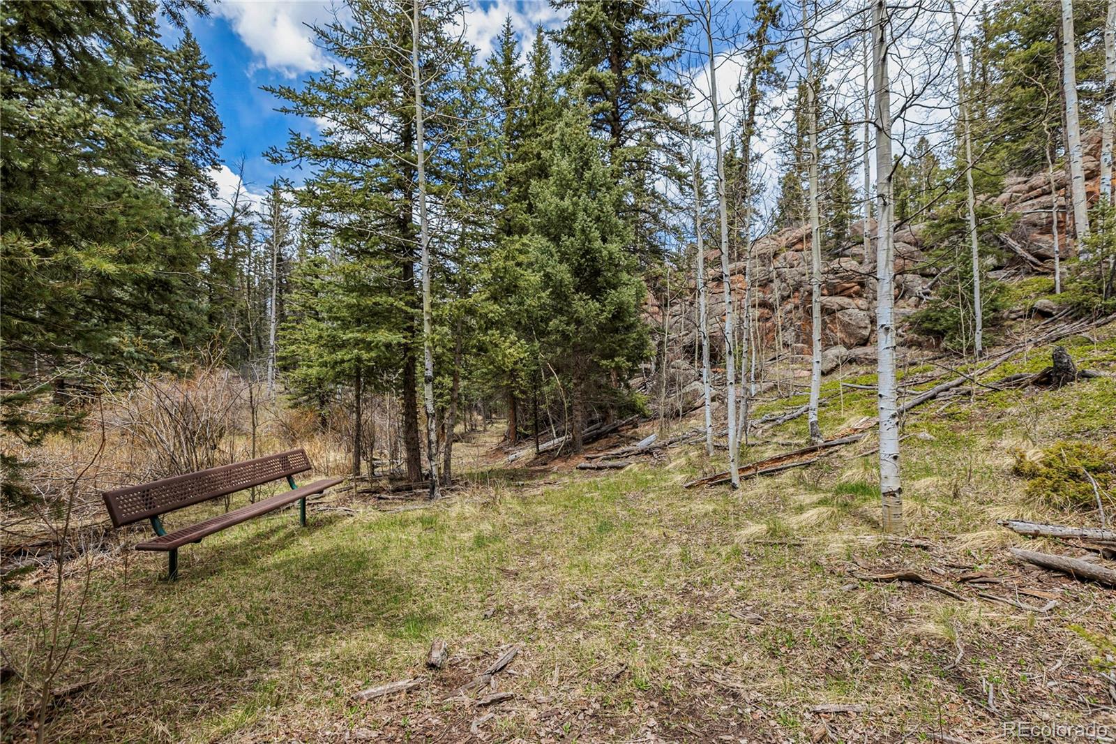 153 Moss Rock Court Divide CO 80814