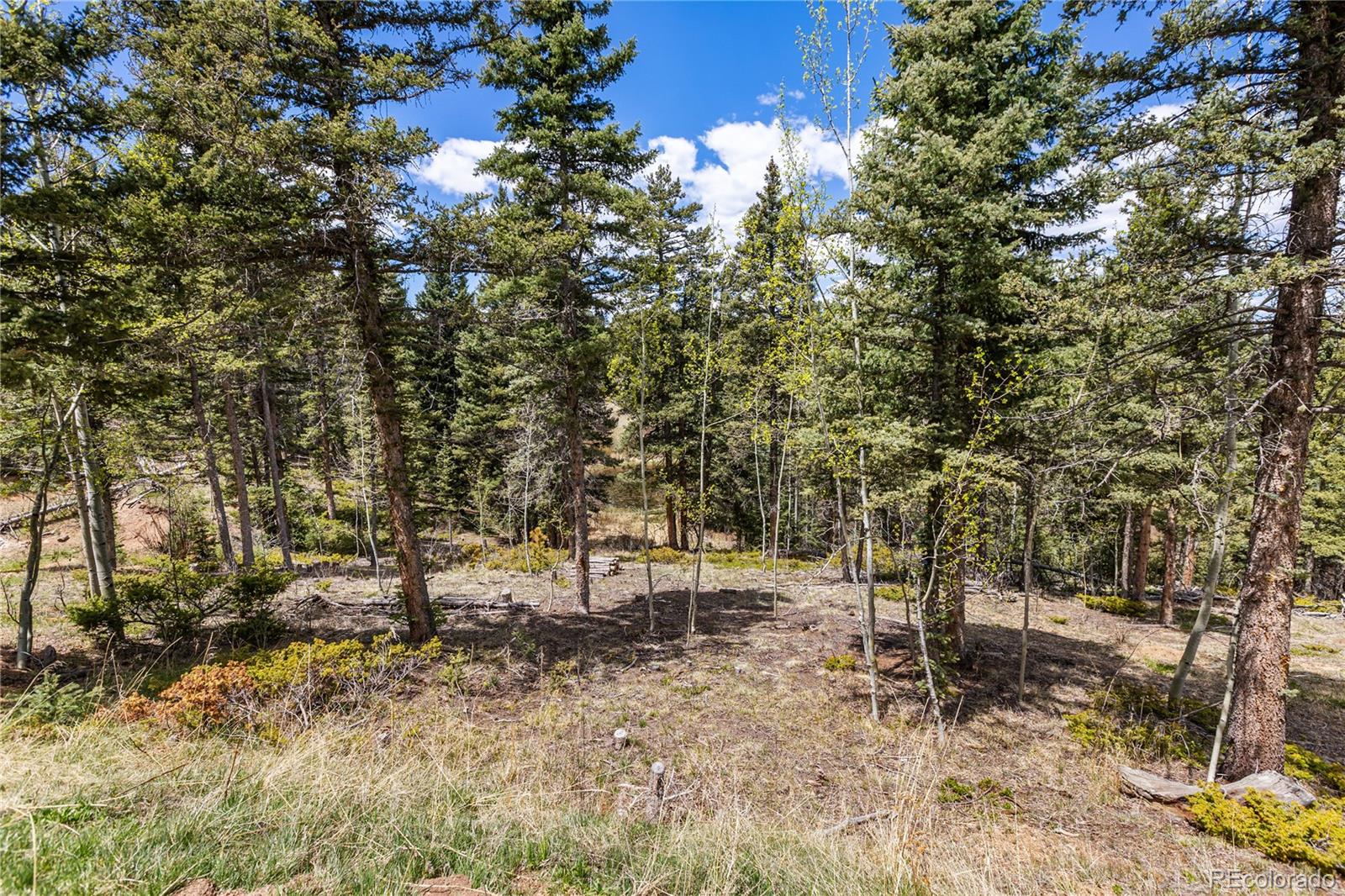 153 Moss Rock Court Divide CO 80814