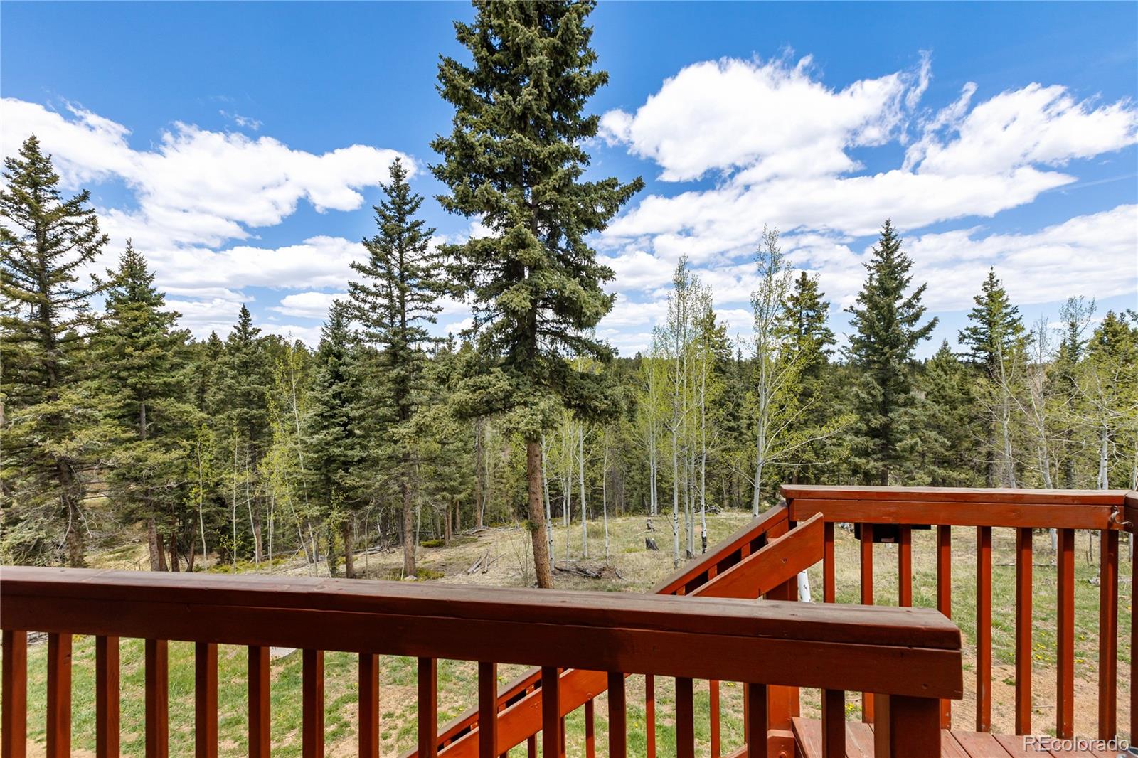 153 Moss Rock Court Divide CO 80814
