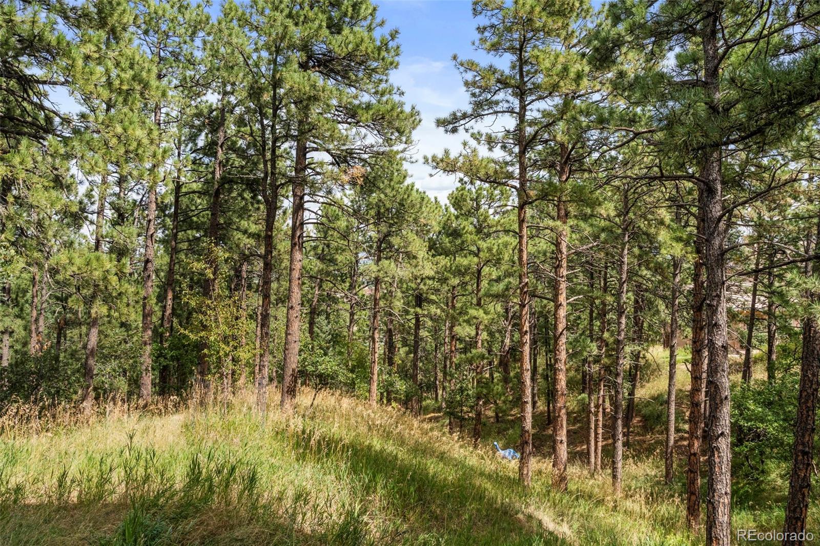 17 Midland Road Colorado Springs CO 80906