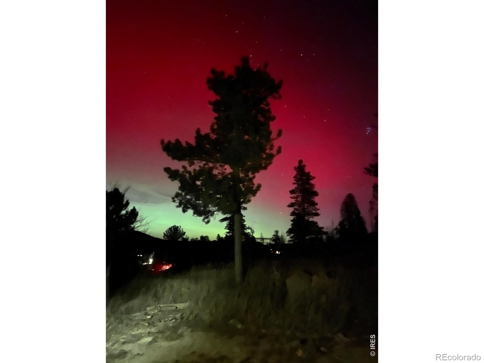 141 Tami Road Red Feather Lakes CO 80545