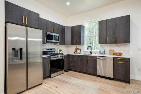 146 Elk Road Idaho Springs CO 80452