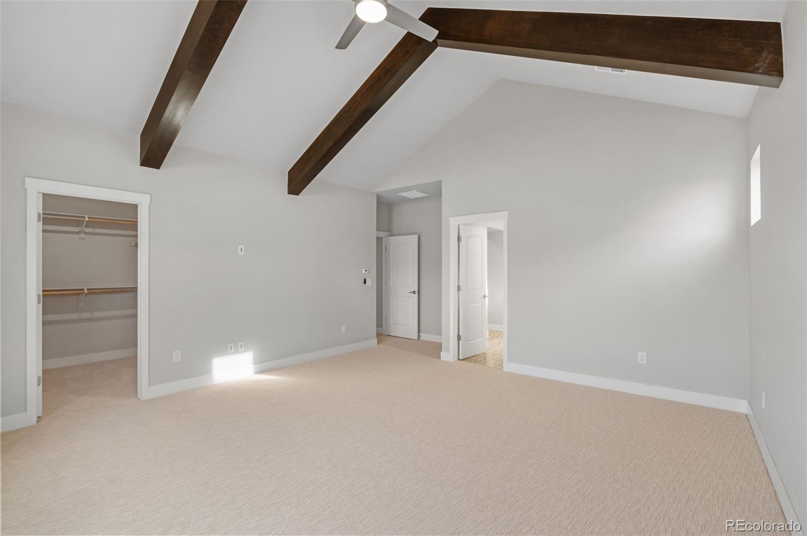 3351 Carabiner Street Castle Rock CO 80108