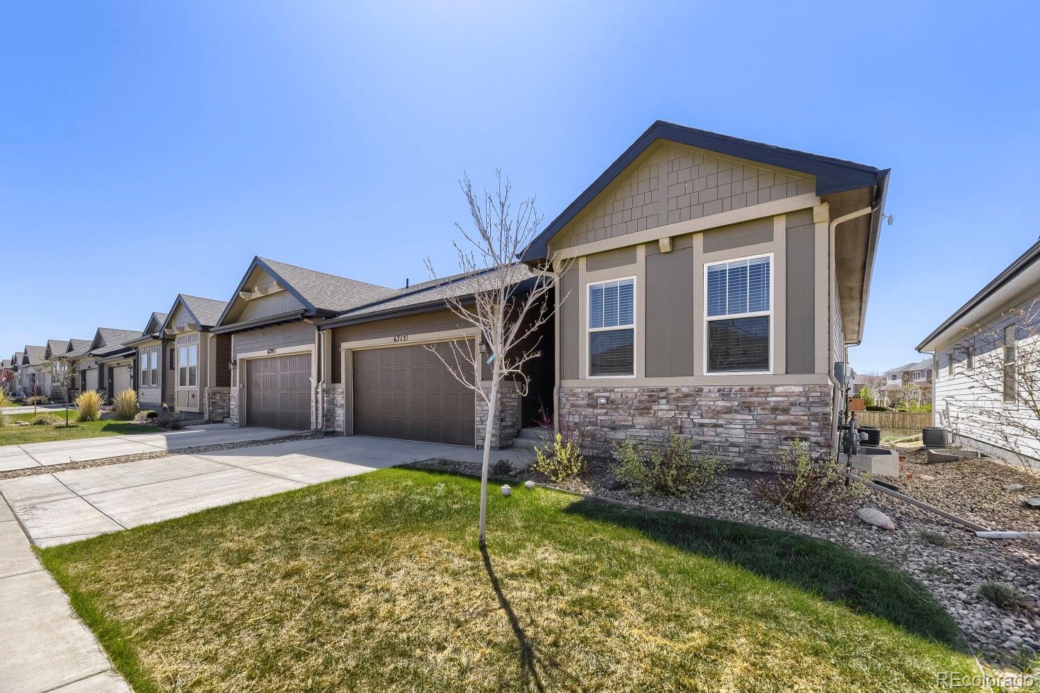 6712 Sea Oats Drive Parker CO 80138