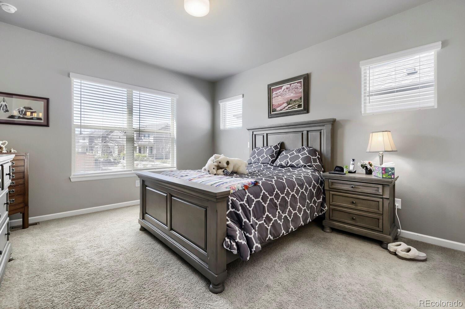 6712 Sea Oats Drive Parker CO 80138