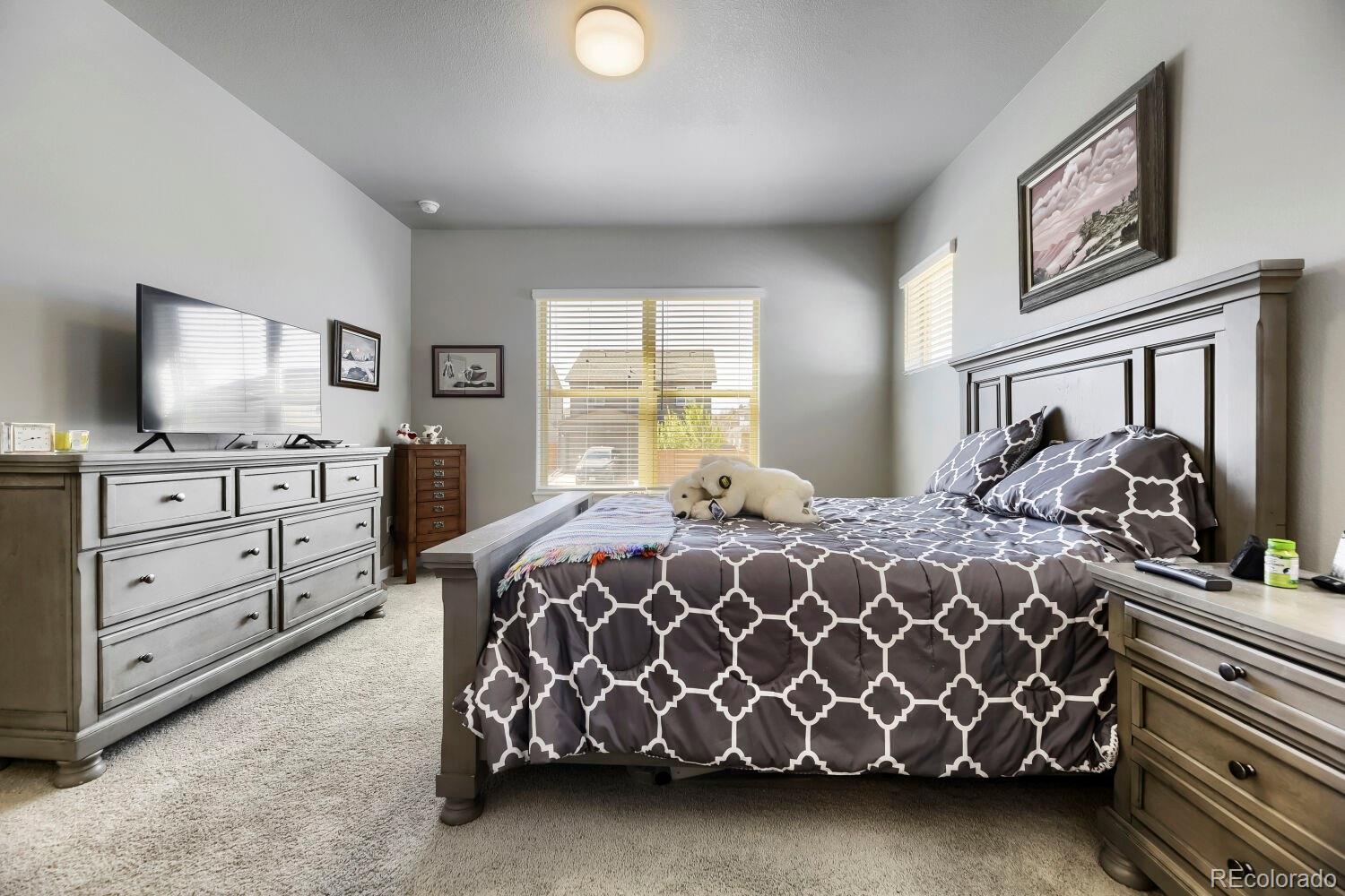 6712 Sea Oats Drive Parker CO 80138