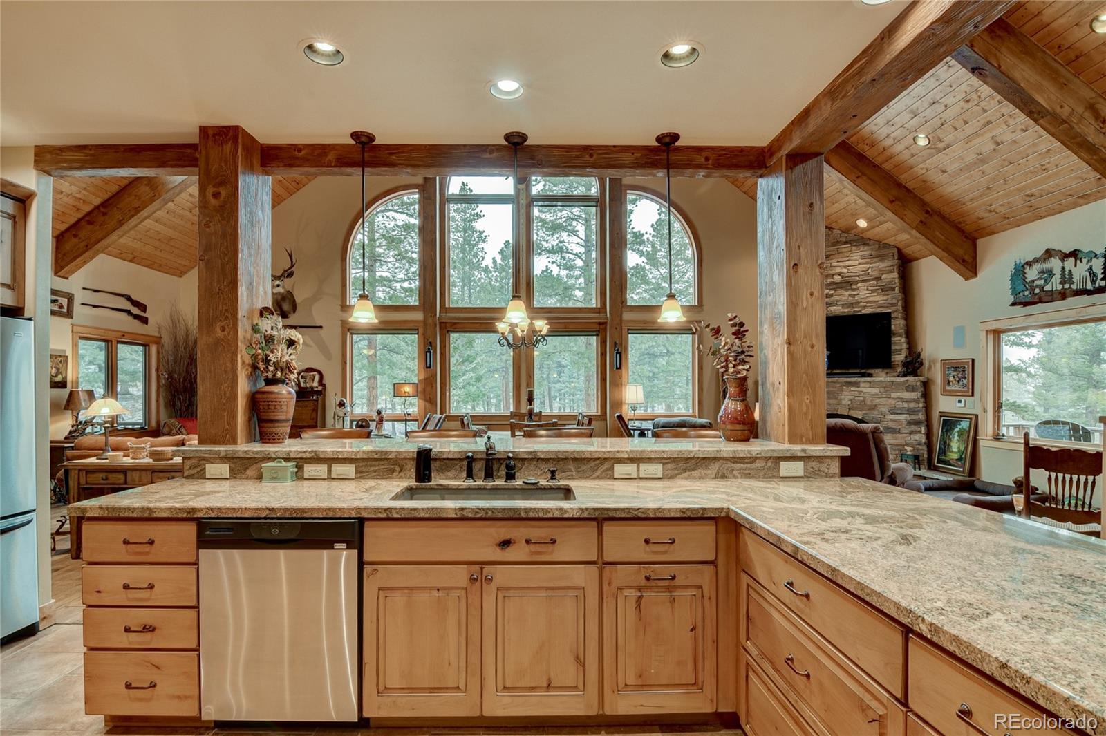 30460 Harvard Circle Buena Vista CO 81211