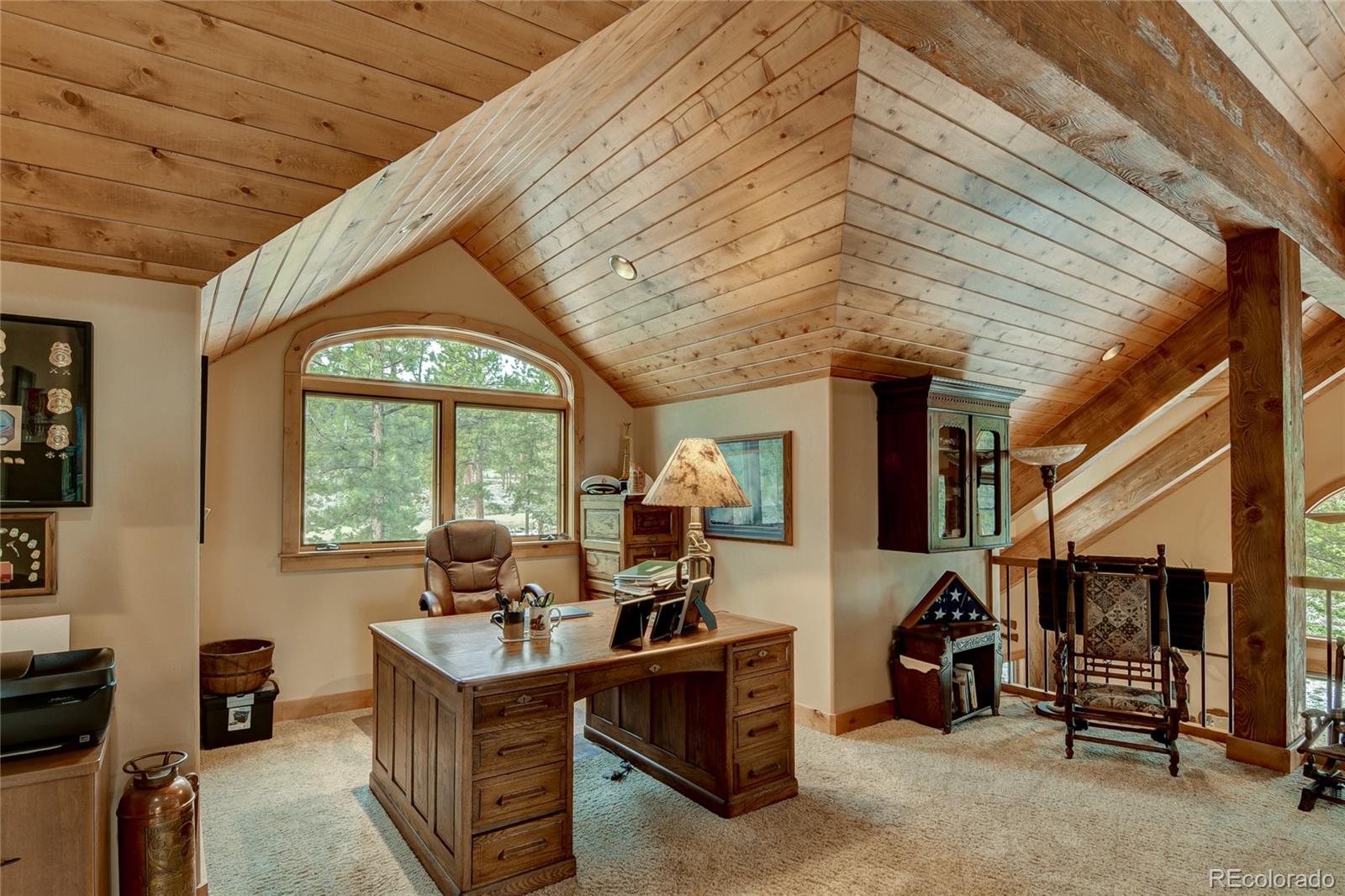 30460 Harvard Circle Buena Vista CO 81211