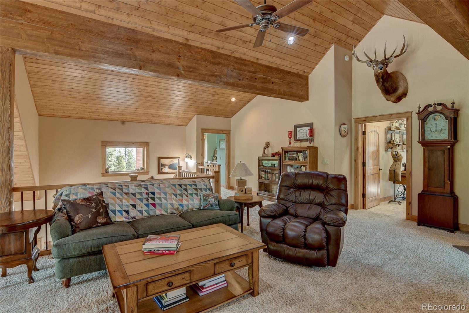 30460 Harvard Circle Buena Vista CO 81211